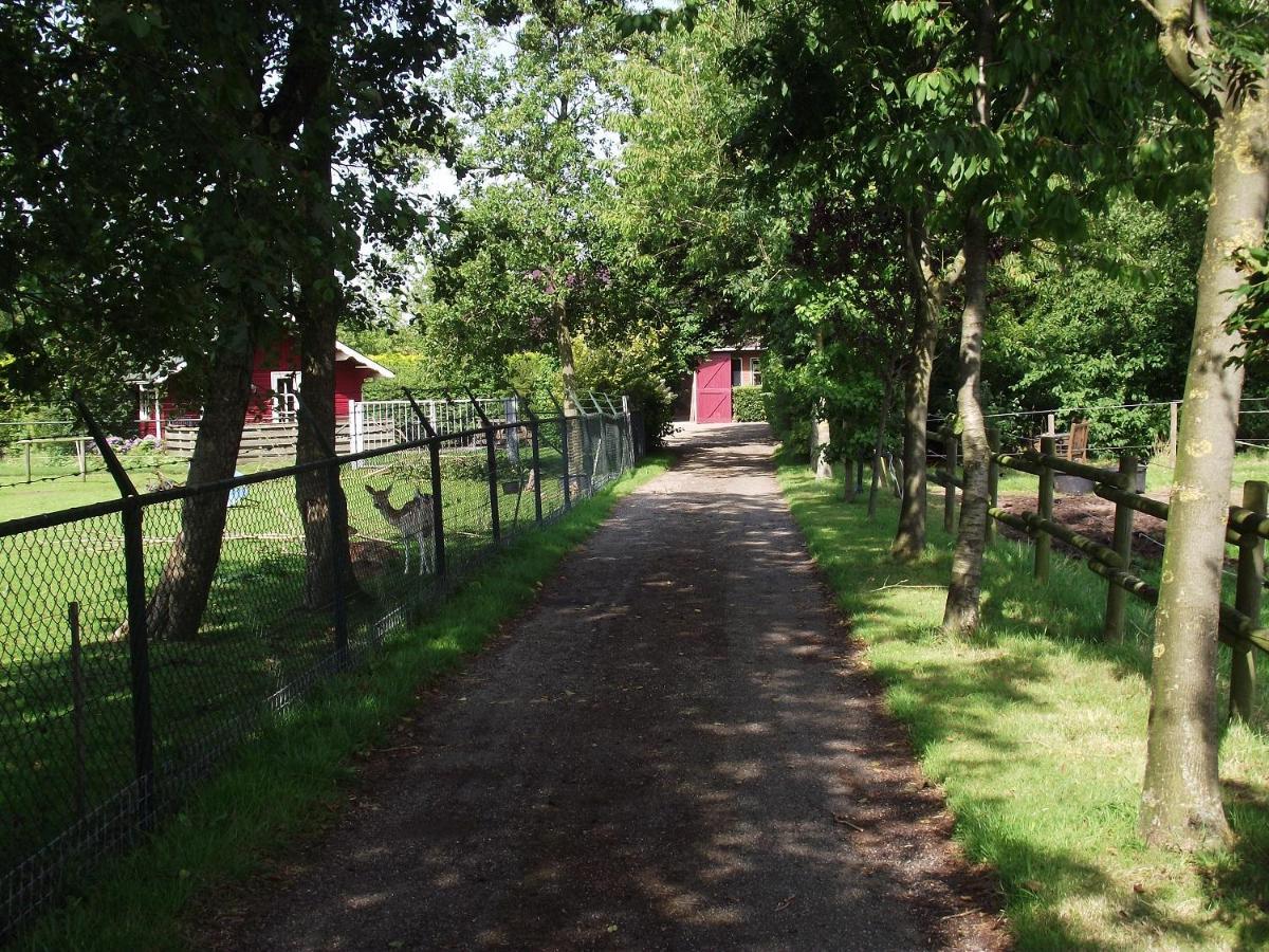 Vakantiehuisjes Landgoed Sonneborghe Kollumerzwaag Extérieur photo