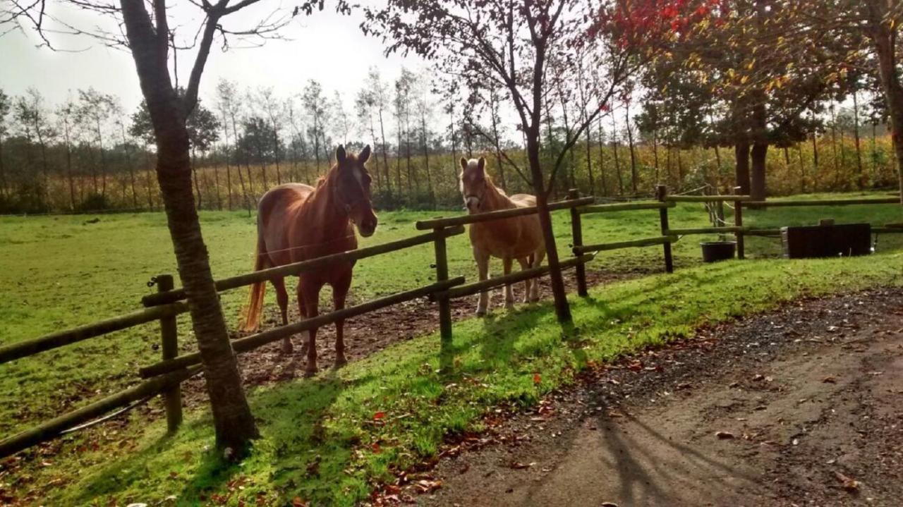 Vakantiehuisjes Landgoed Sonneborghe Kollumerzwaag Extérieur photo