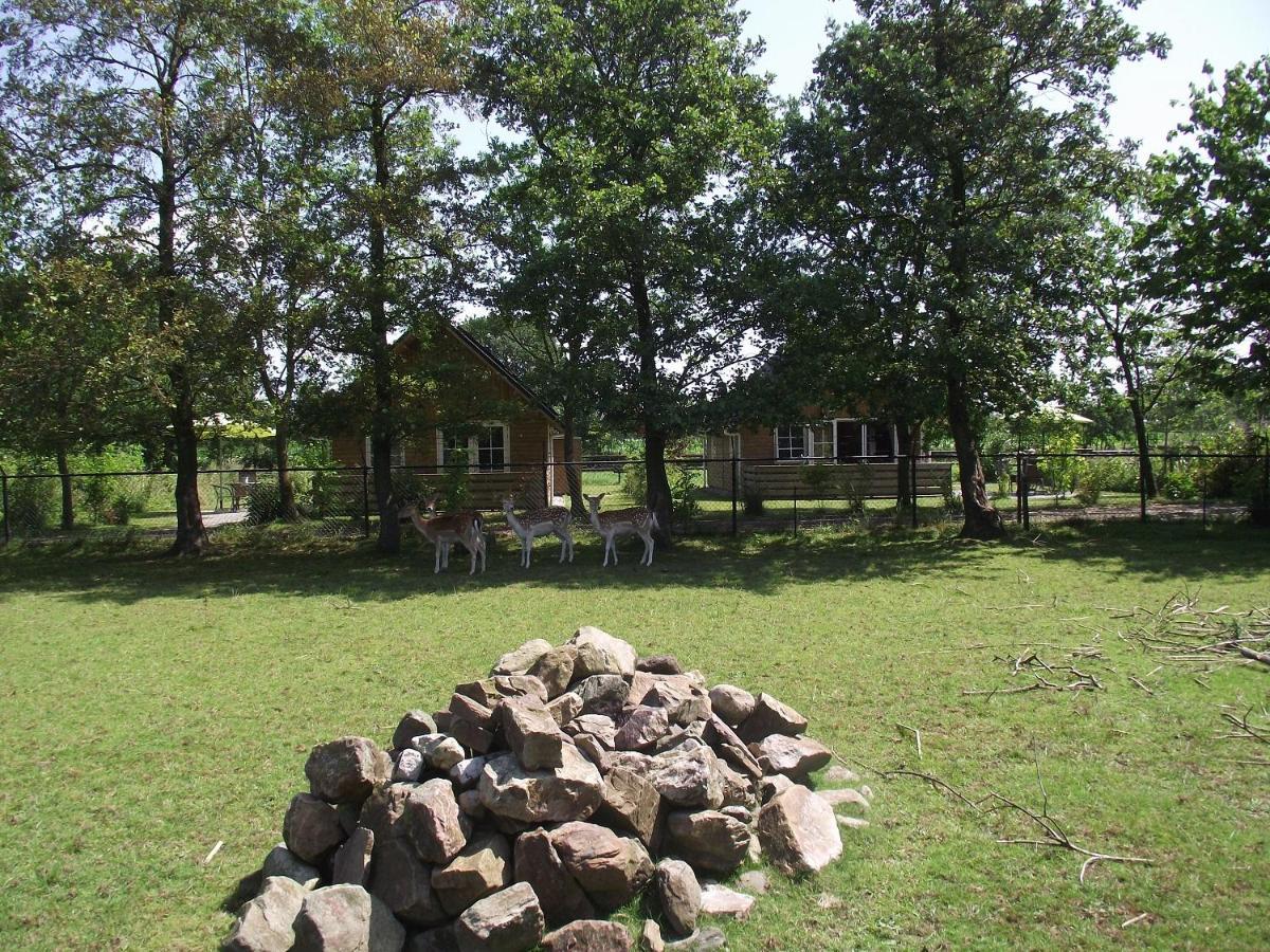 Vakantiehuisjes Landgoed Sonneborghe Kollumerzwaag Extérieur photo