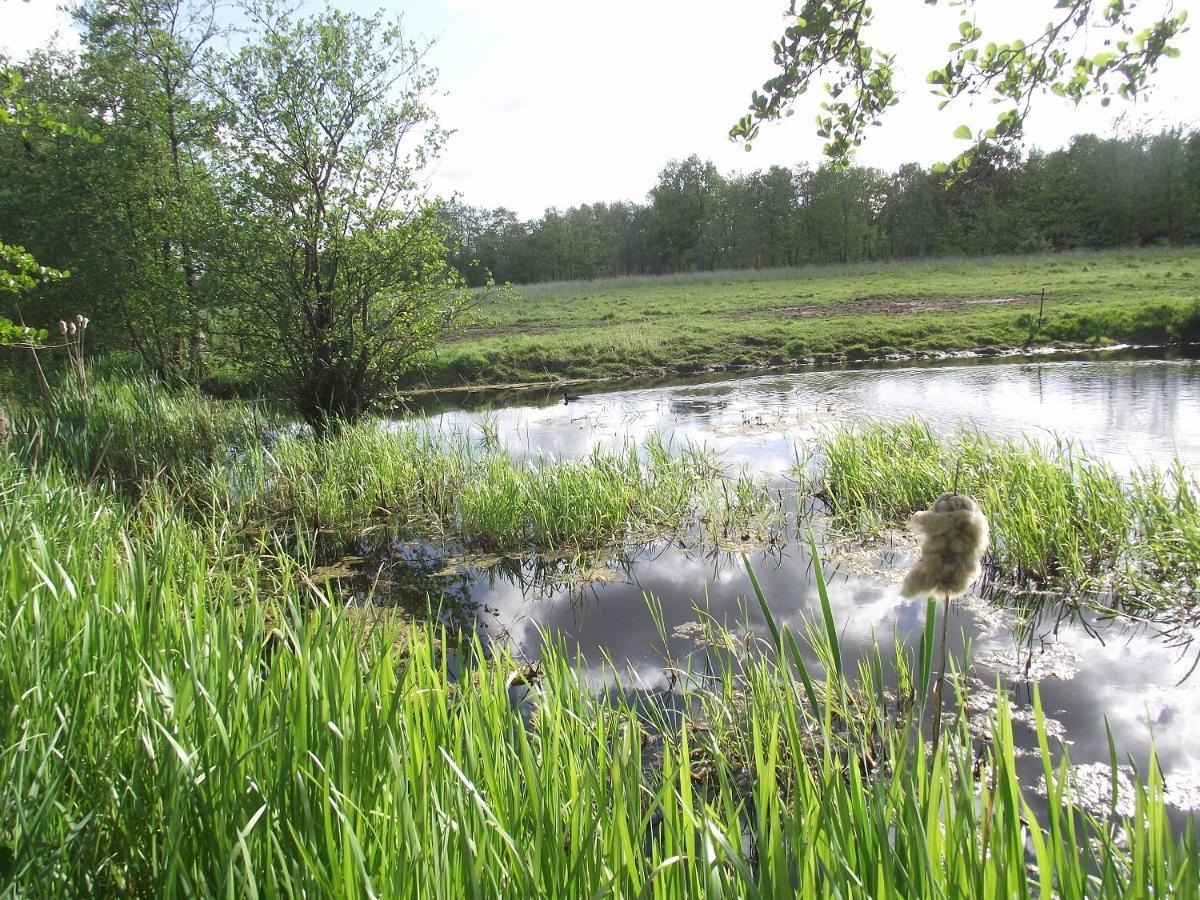 Vakantiehuisjes Landgoed Sonneborghe Kollumerzwaag Extérieur photo
