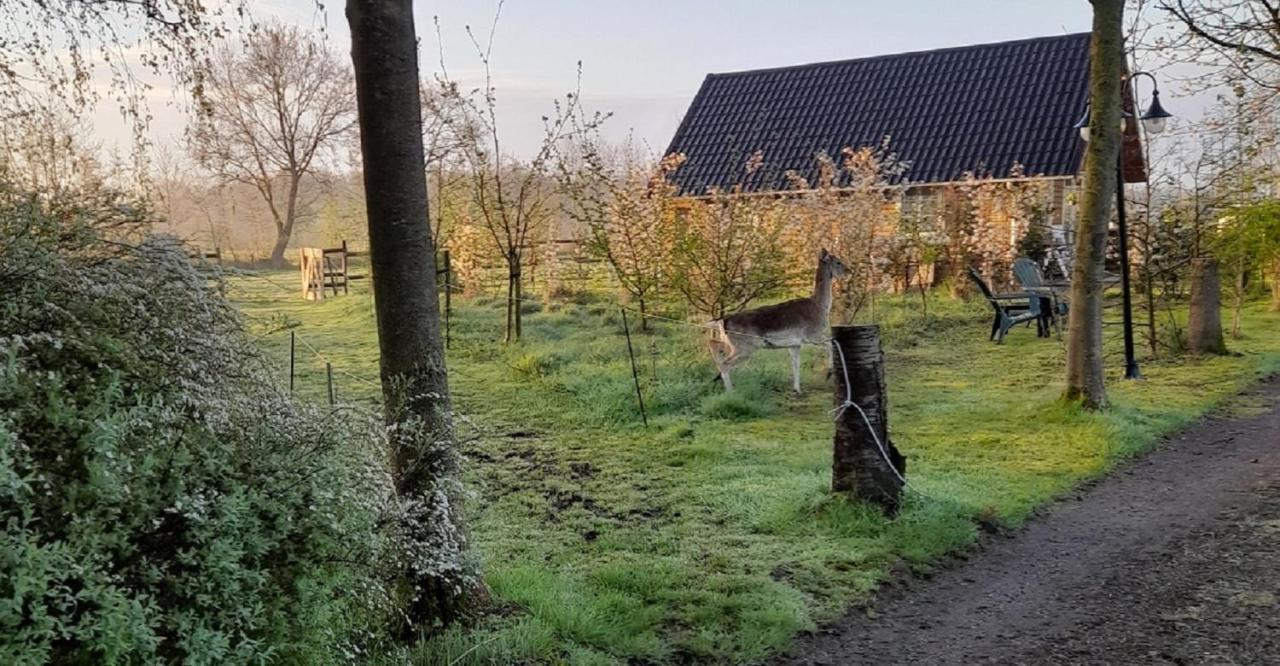 Vakantiehuisjes Landgoed Sonneborghe Kollumerzwaag Extérieur photo