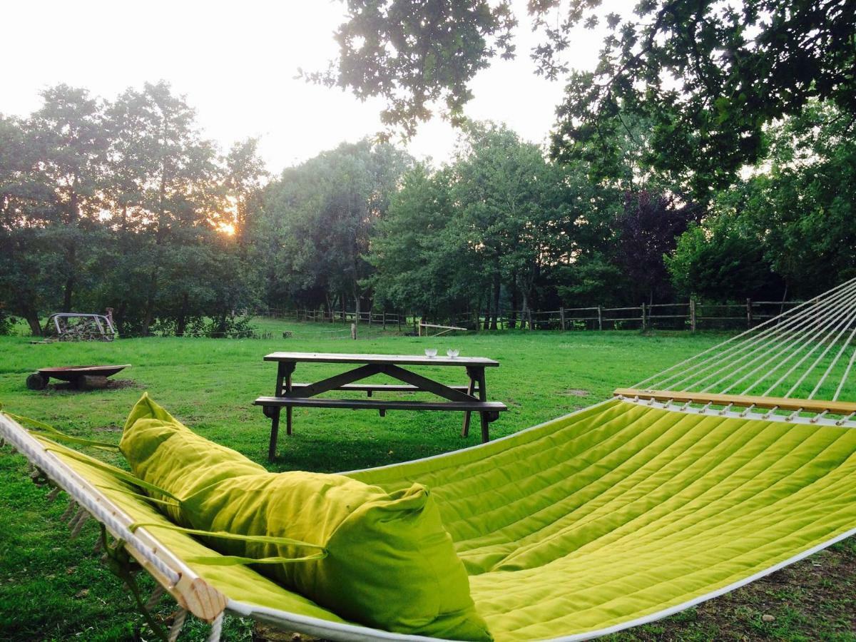 Vakantiehuisjes Landgoed Sonneborghe Kollumerzwaag Extérieur photo